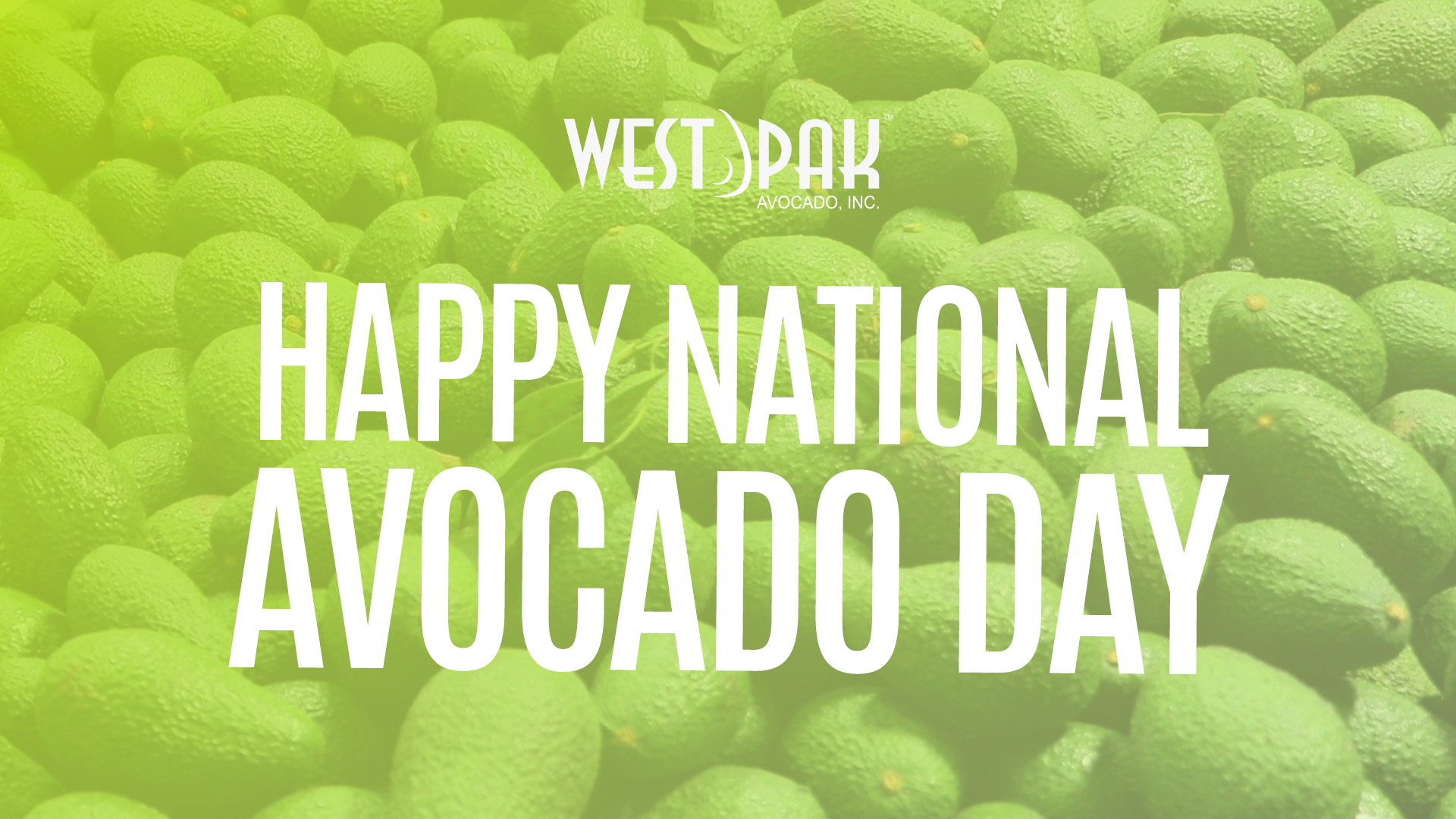 Celebrating Avocados on their Special Day West Pak Avocado Inc.